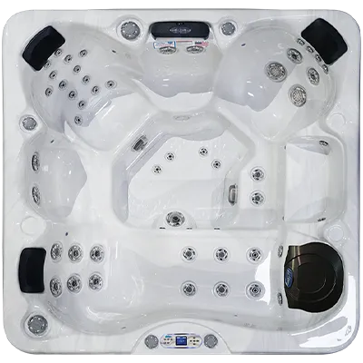 Avalon EC-849L hot tubs for sale in Norwell