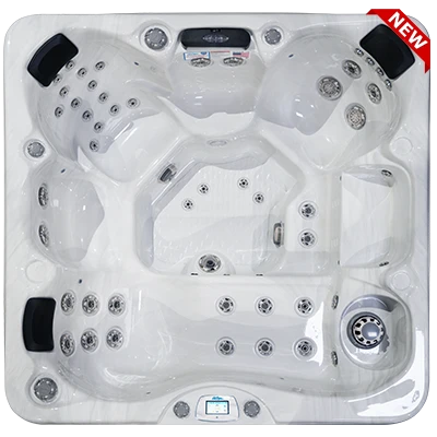 Avalon-X EC-849LX hot tubs for sale in Norwell